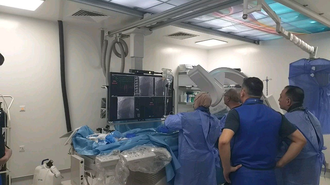 ishtar angiography labaratuari